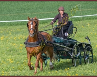 1POSIEUX 0215